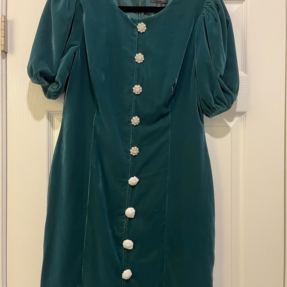 J Crew Green Velvet Dress with Floral Buttons